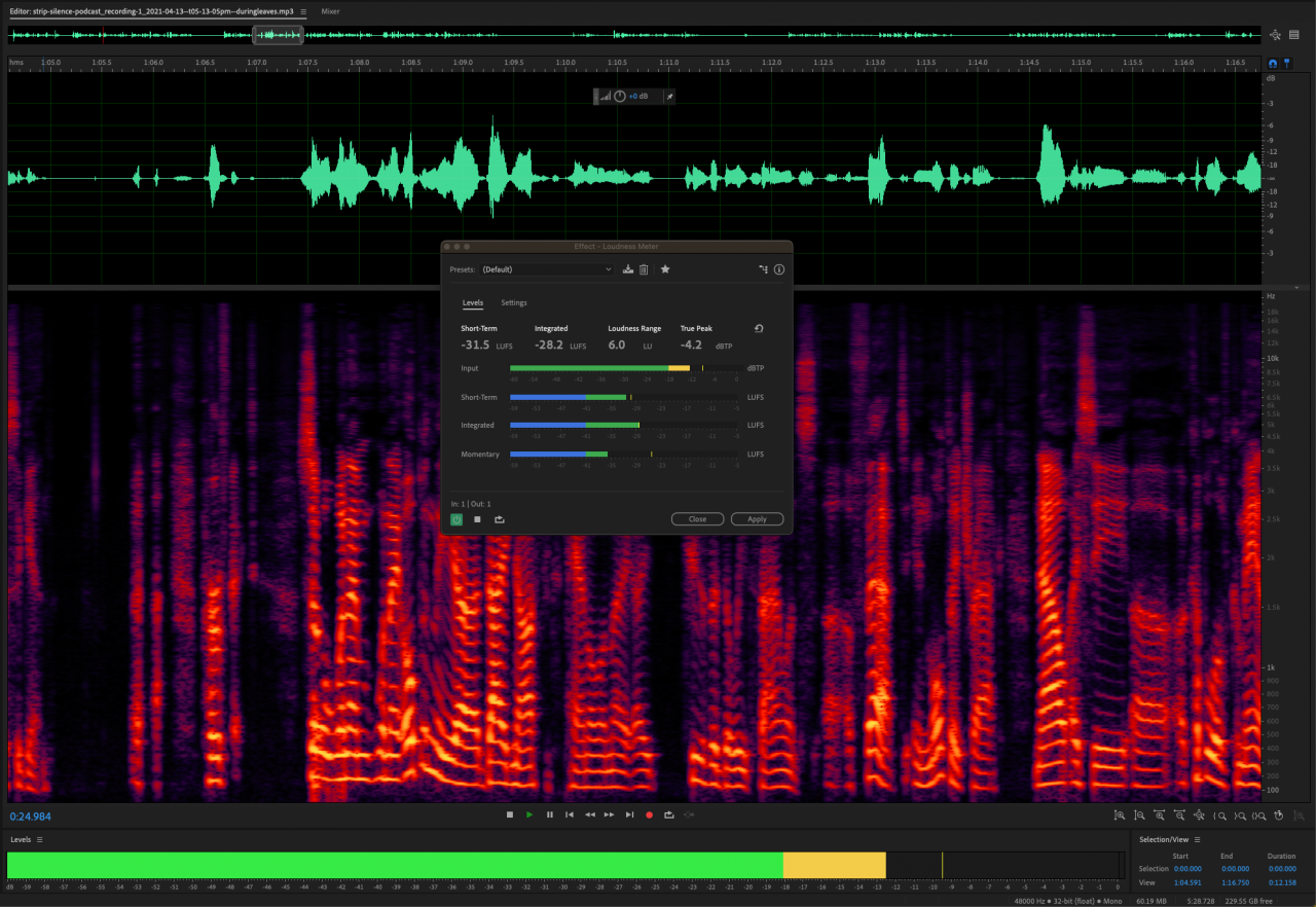 Loudness-Meter-with-waveform-4.png.img_-4